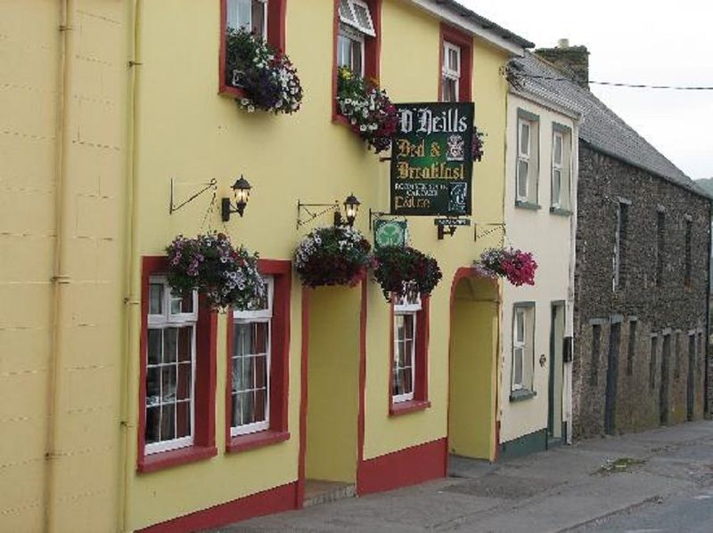O Neills Bed And Breakfast Dingle Exterior foto